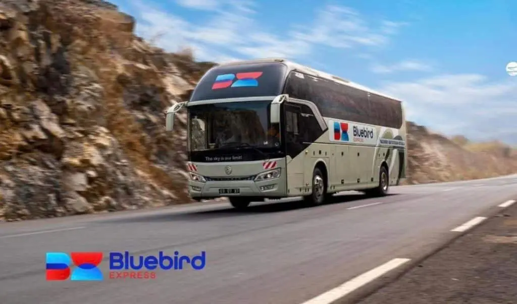 Autocar Bluebird Express sur la route